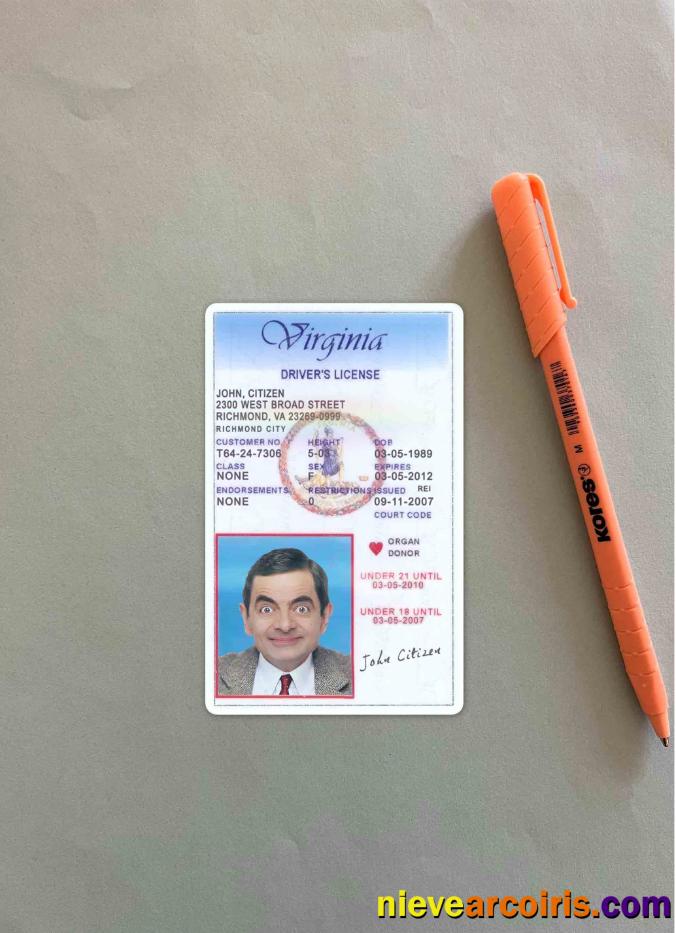 USA Virginia driving license photolook